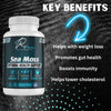 Organic SEA MOSS