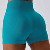 Wide Waistband Slim Fit Sports Shorts
