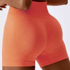Wide Waistband Slim Fit Sports Shorts