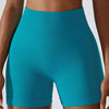 Wide Waistband Slim Fit Sports Shorts